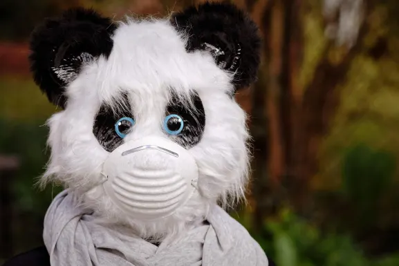 カジノ ホット ライン サポート